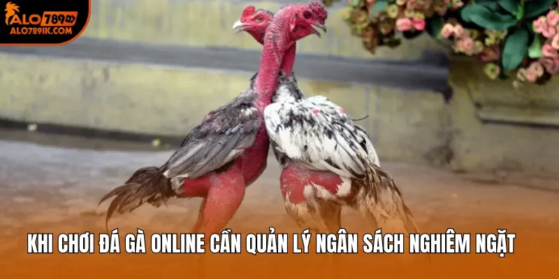 Khi chơi đá gà online cần quản lý ngân sách nghiêm ngặt 