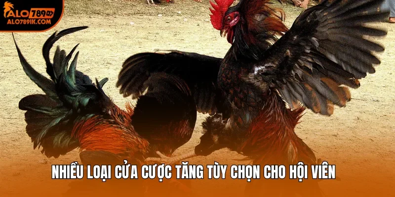 Nhiều loại cửa cược tăng tùy chọn cho hội viên